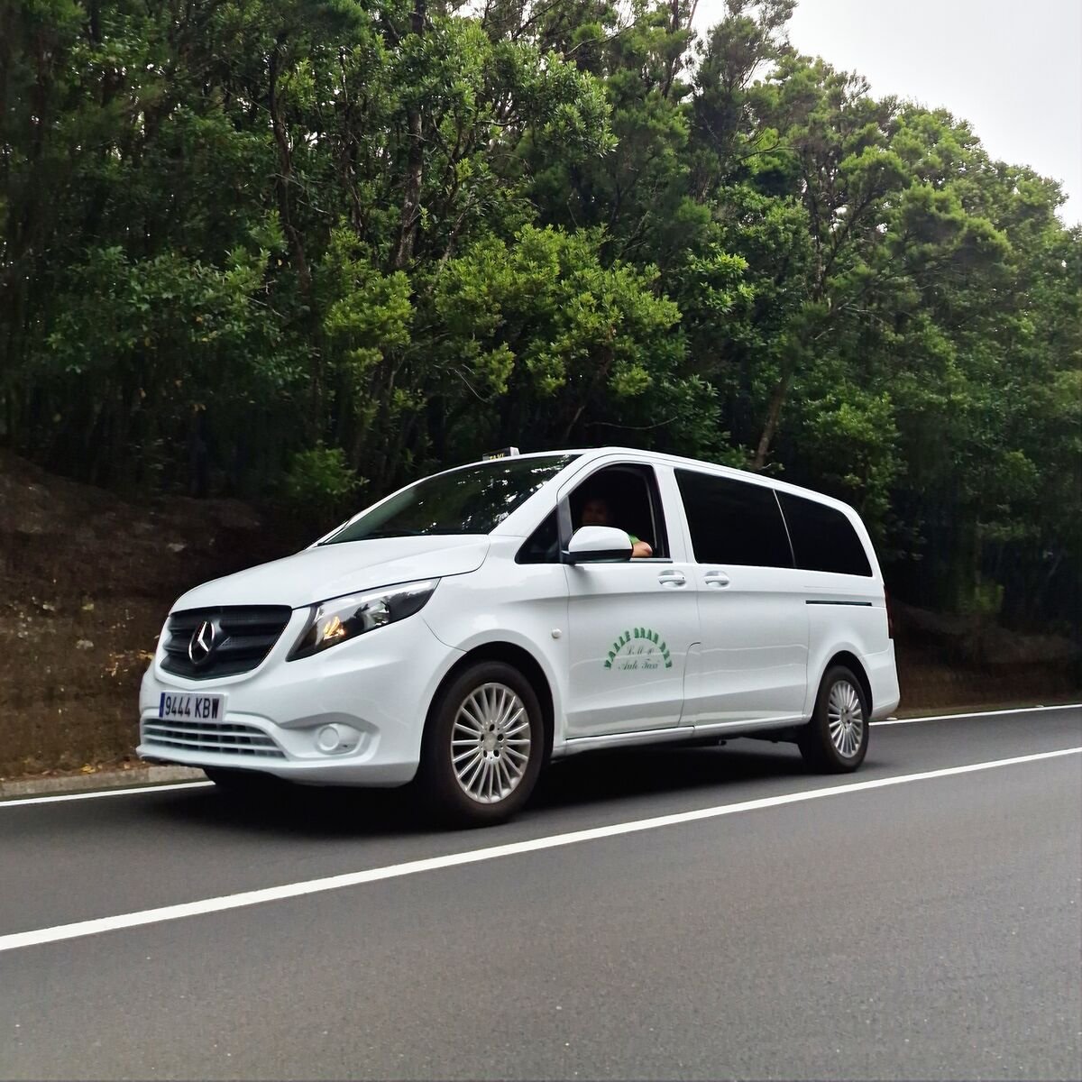 Taxi Mercedes Vito blanco de 8 plazas en una carretera del monte de La Gomera